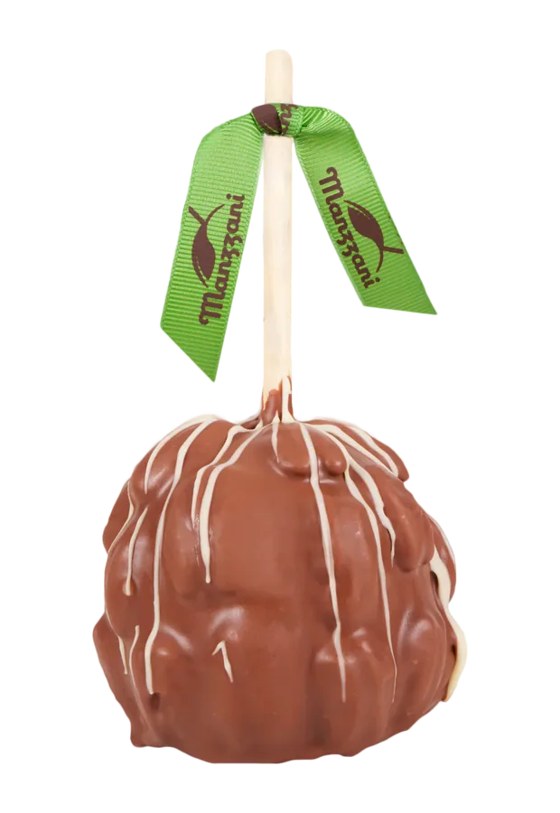 Tortuga de Chocolate y Nuez